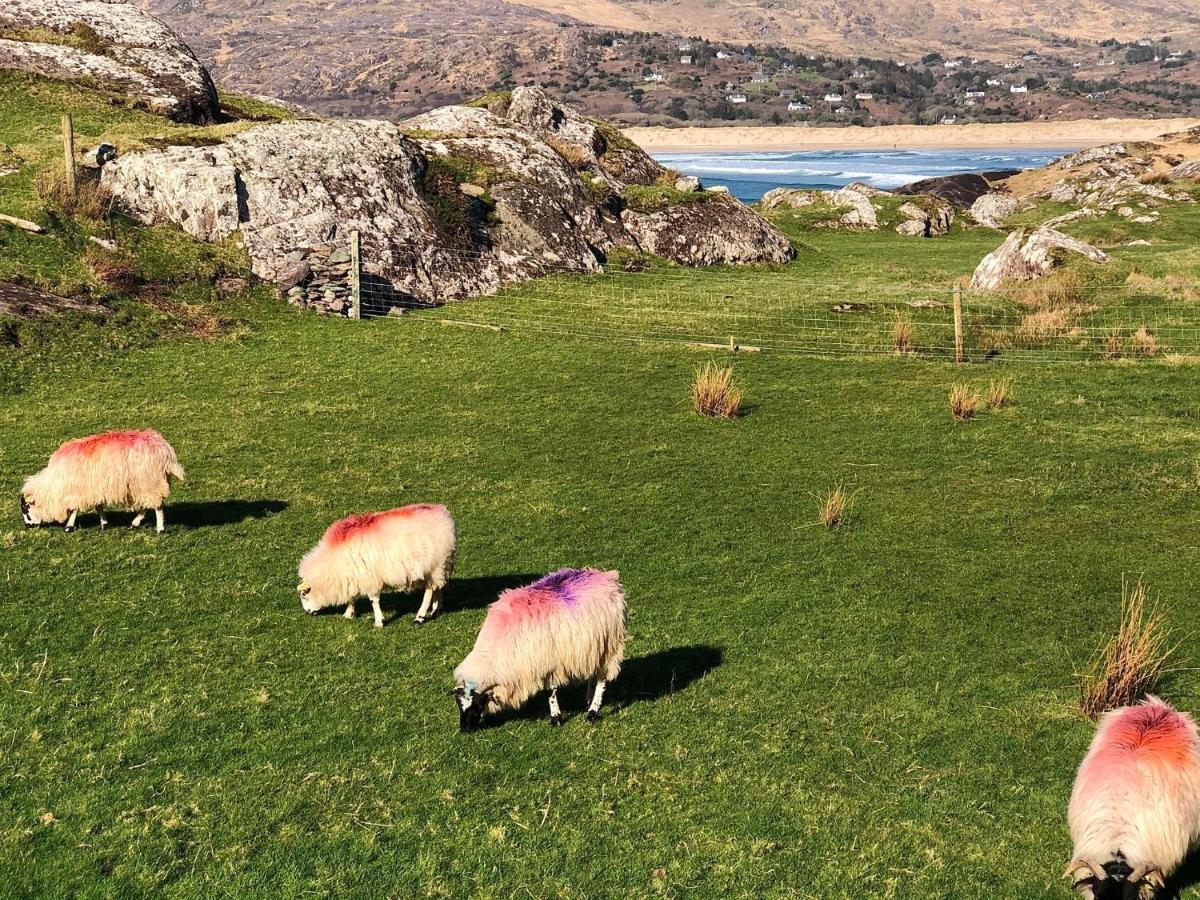 Derrynane Bay House Bed & Breakfast Caherdaniel Luaran gambar